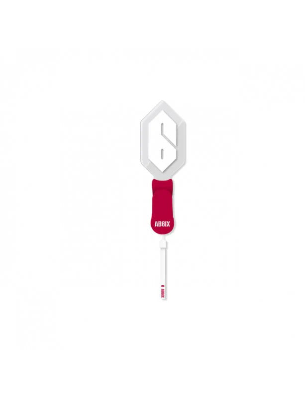 AB6IX KEYRING