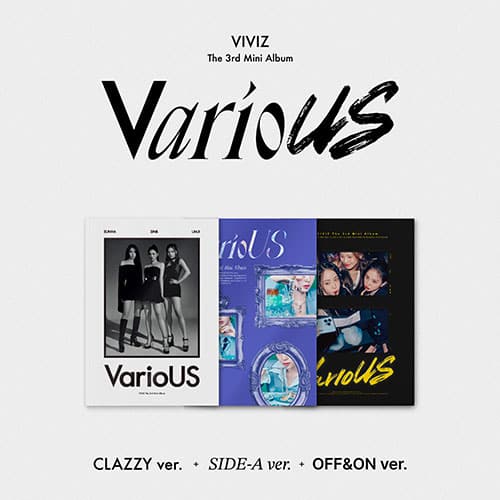 VIVIZ - VARIOUS (PHOTOBOOK)